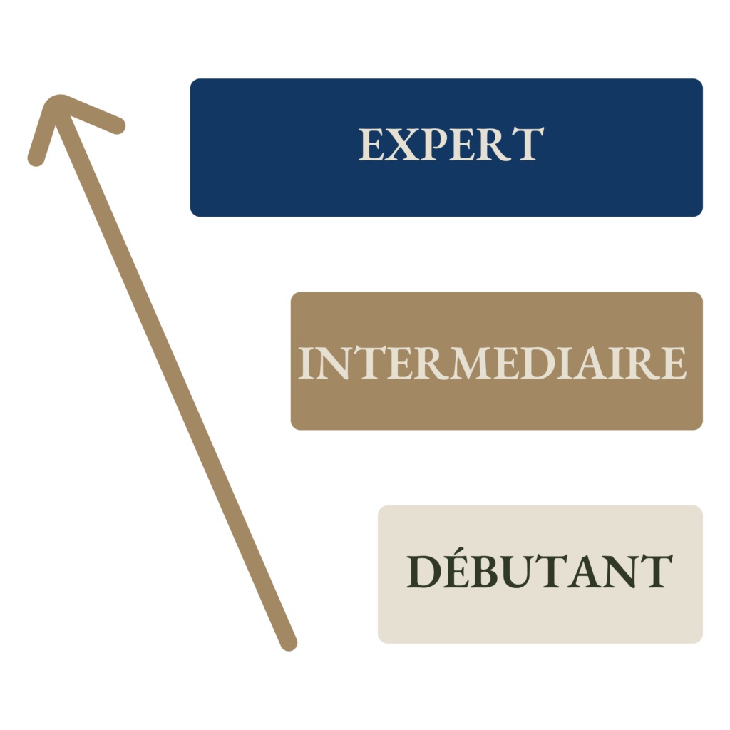 Expert - Intermédiaire - débutant