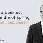 Can a business entity be the offspring of several companies?